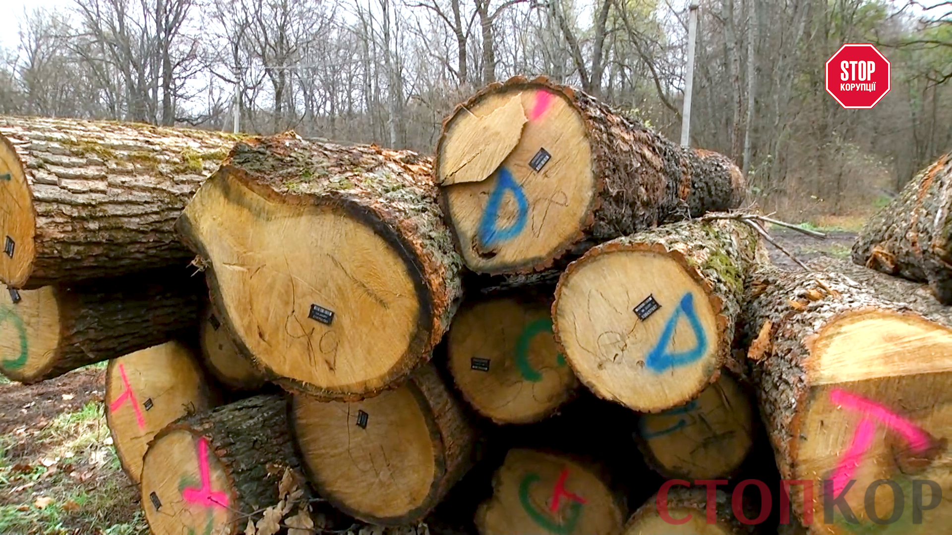 Дуб, маркований класом Д