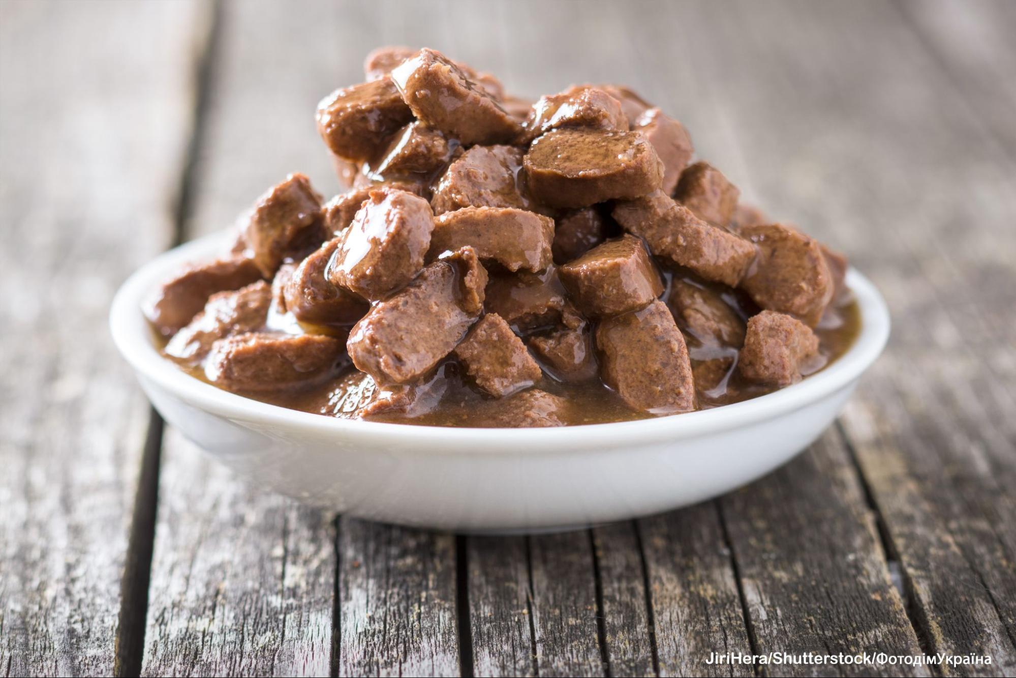 Як зрозуміти, що коту бракує білка Як зрозуміти, що коту бракує білка