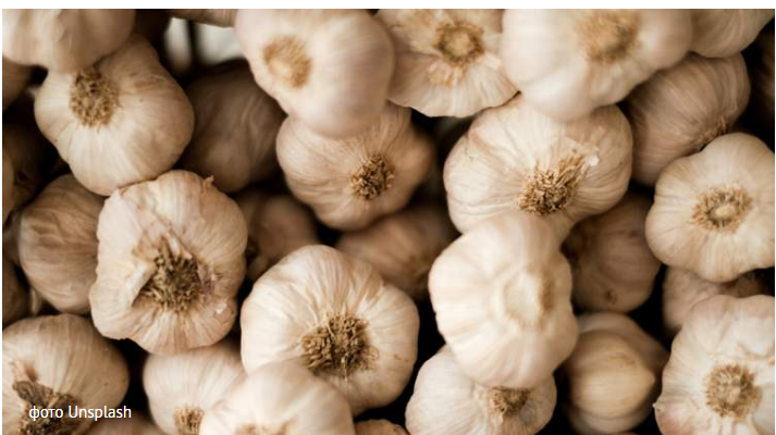 Ніколи не кладіть часник у холодильник: як правильно його зберігати Ніколи не кладіть часник у холодильник: як правильно його зберігати