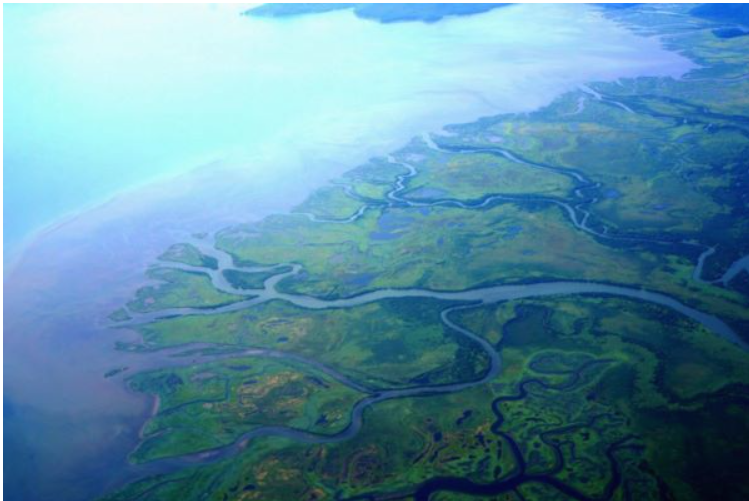 Річкові дельти світу опускаються швидше за рівень моря Річкові дельти світу опускаються швидше за рівень моря