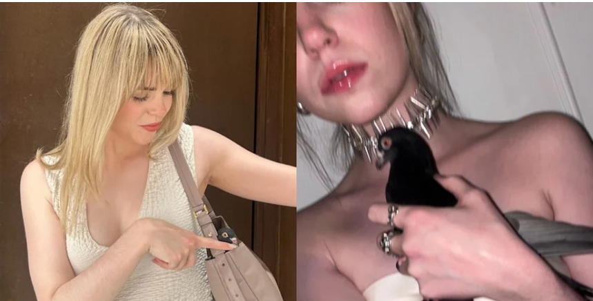 Ідеально поєднується з образом: дівчина постійно носить у сумці голуба (відео) Ідеально поєднується з образом: дівчина постійно носить у сумці голуба (відео)