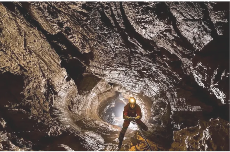 Науковці показали тварину, яка живе на глибині 1,9 кілометра під землею Науковці показали тварину, яка живе на глибині 1,9 кілометра під землею