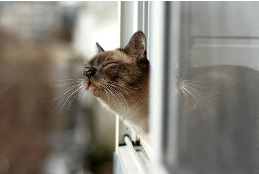 Синоптик озвучив прогноз на березень: де в Україні буде найтепліше Синоптик озвучив прогноз на березень: де в Україні буде найтепліше