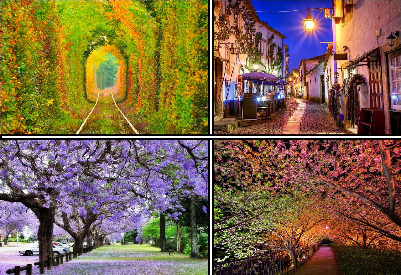 15 затишних вуличок світу, які стають ще прекраснішими навесні 15 затишних вуличок світу, які стають ще прекраснішими навесні