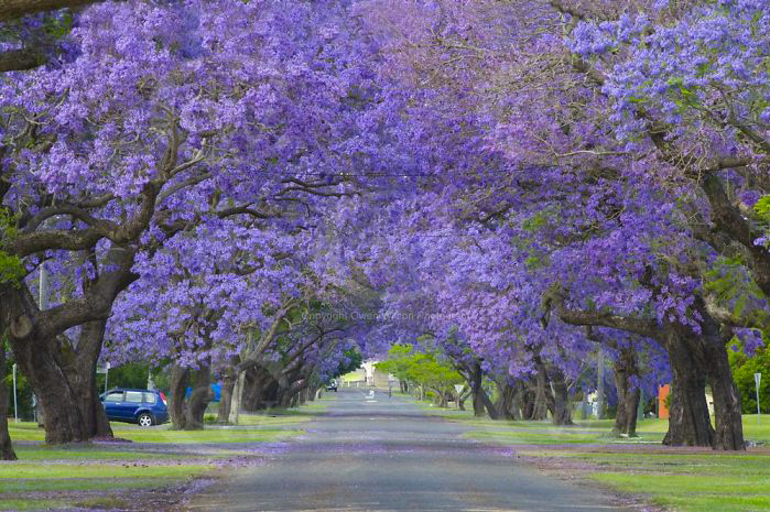 0_180ebb_bb3566bf_orig