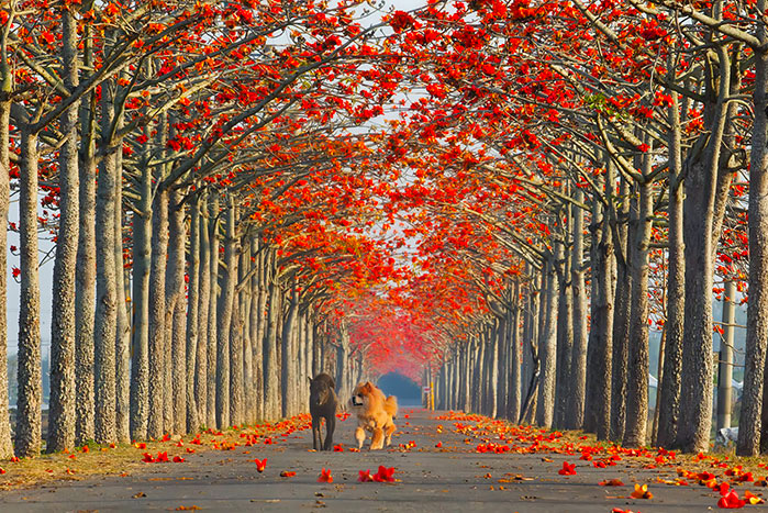 0_180ec0_12fbe9e_orig