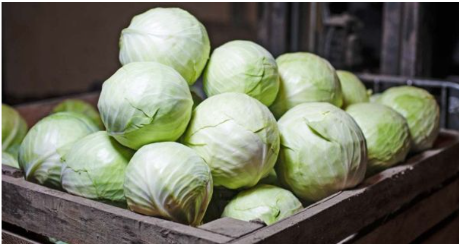 Борщ став ще дешевшим: в Україні впали ціни на капусту - які цінники Борщ став ще дешевшим: в Україні впали ціни на капусту - які цінники