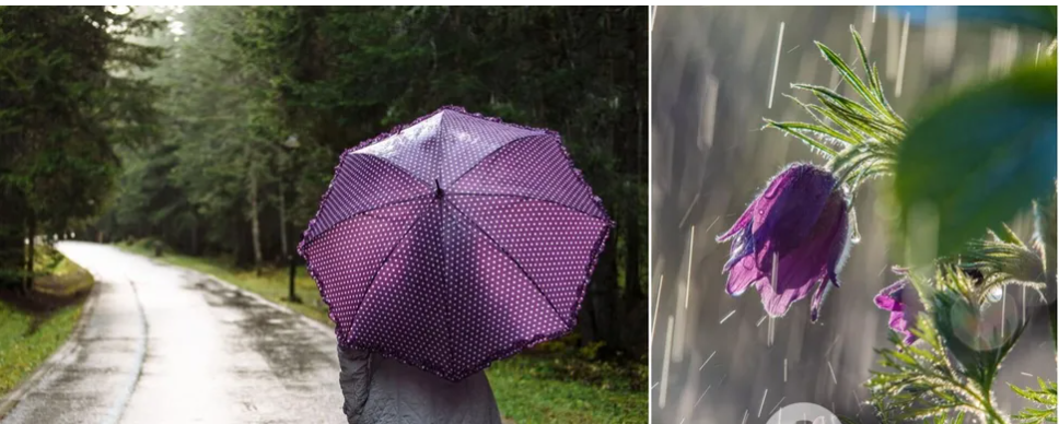 Які сюрпризи приготувала погода українцям 30 березня: де йтимуть дощі. Карта Які сюрпризи приготувала погода українцям 30 березня: де йтимуть дощі. Карта