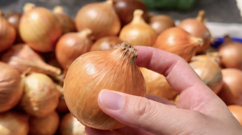 Як виростити цибулю, що лежатиме до самої весни: головні секрети догляду та зберігання Як виростити цибулю, що лежатиме до самої весни: головні секрети догляду та зберігання