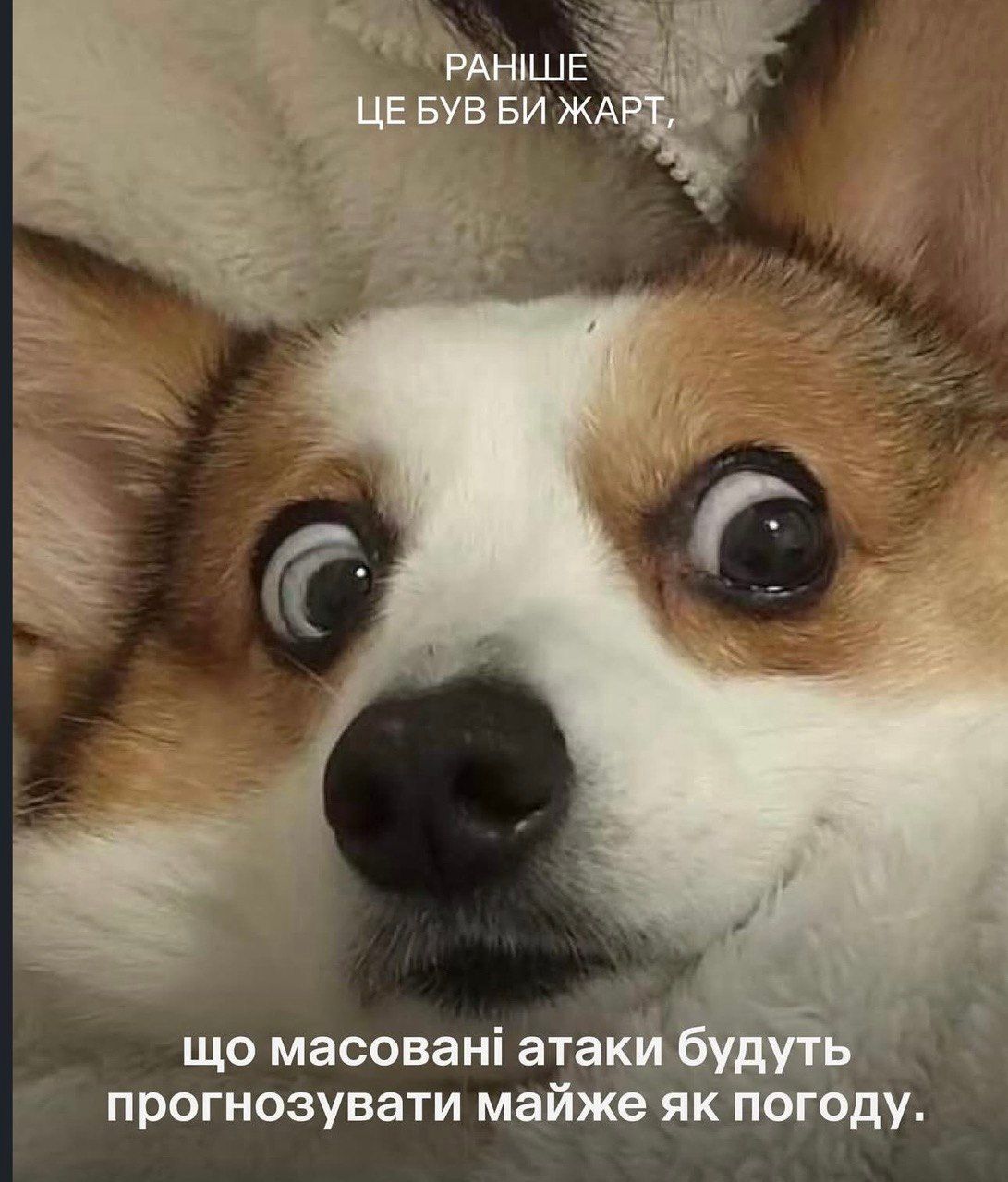 Меми про обстріли - фото 849057