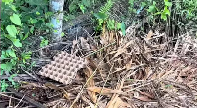 Як використати картонні коробки для створення еко-шпаклівки для ремонту Як використати картонні коробки для створення еко-шпаклівки для ремонту