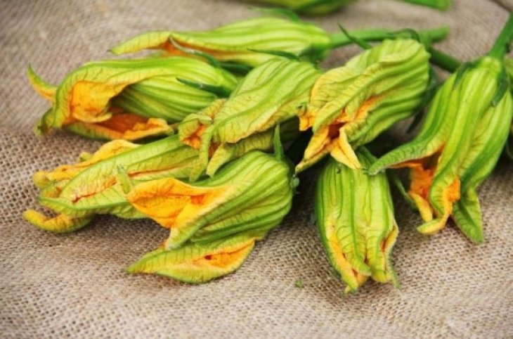 Виведе шлаки та допоможе травленню: корисні властивості квітів кабачків