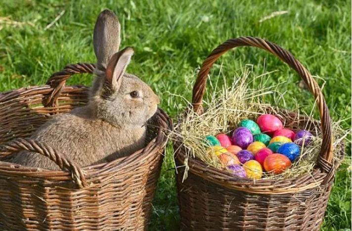 Великдень та аграрний календар: традиції, символіка та віра в незламність української землі Великдень та аграрний календар: традиції, символіка та віра в незламність української землі