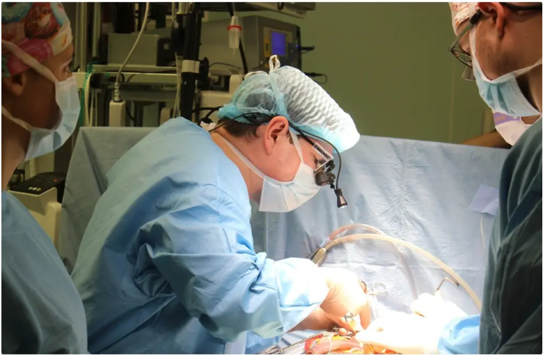 Рекорд у кардіохірургії: 98-річна українка стала найстаршою пацієнткою з імплантованим серцевим клапаном Рекорд у кардіохірургії: 98-річна українка стала найстаршою пацієнткою з імплантованим серцевим клапаном