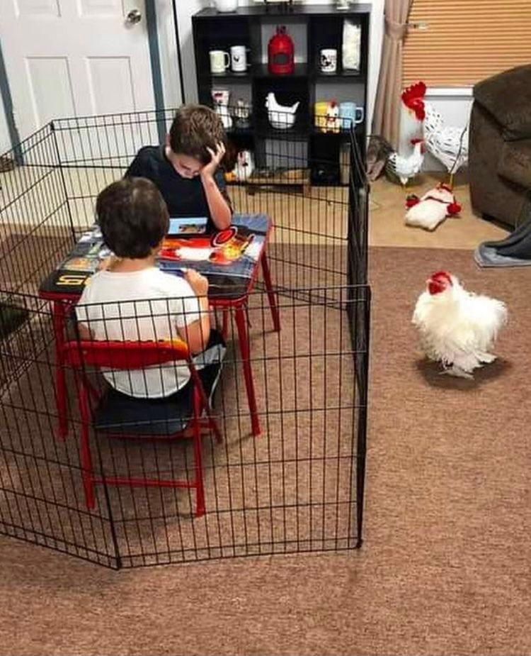 15 дітей, які просто хотіли спокійного дитинства, але батьки вирішили інакше - фото 857370