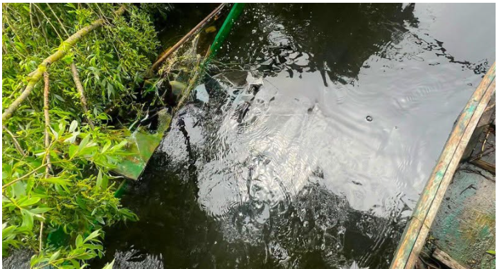 У селі на Полтавщині у водоймі знайдено тіло людини, особу якої вже встановлено, - поліція У селі на Полтавщині у водоймі знайдено тіло людини, особу якої вже встановлено, - поліція
