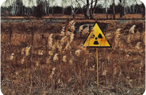 У Чорнобильській зоні ліквідували велику пожежу У Чорнобильській зоні ліквідували велику пожежу