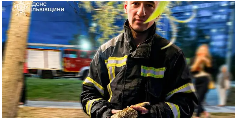 Маленька пригода зі щасливим фіналом: у Львові рятувальники визволили качку із пастки Маленька пригода зі щасливим фіналом: у Львові рятувальники визволили качку із пастки