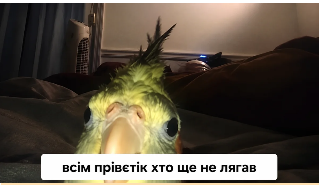 Меми про втому, від якої ми всі реально втомилися Меми про втому, від якої ми всі реально втомилися