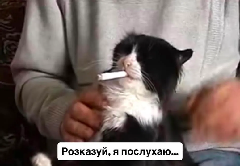 Меми про втому, від якої ми всі реально втомилися - фото 898430