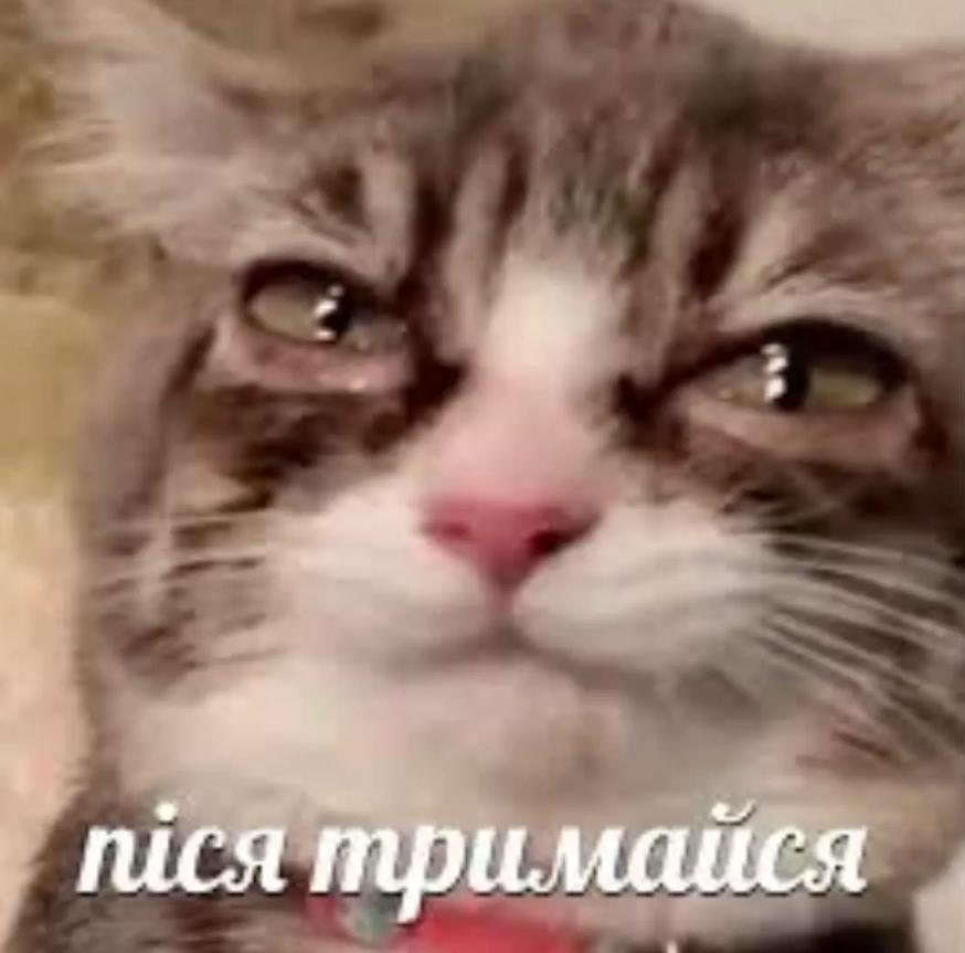 Меми про втому, від якої ми всі реально втомилися - фото 898436