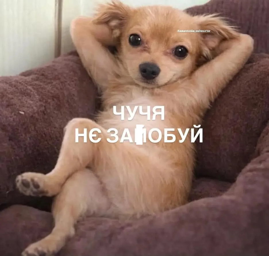Меми про втому, від якої ми всі реально втомилися - фото 898441