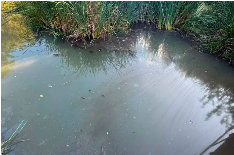 Збитки довкіллю від забруднення водойм у Борщагівській громаді сягнули 36,5 млн грн Збитки довкіллю від забруднення водойм у Борщагівській громаді сягнули 36,5 млн грн