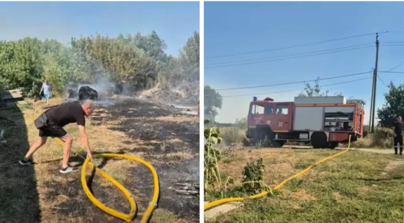 Пожежа біля притулку для тварин на Київщині: рятувальники та містяни врятували 127 собак Пожежа біля притулку для тварин на Київщині: рятувальники та містяни врятували 127 собак