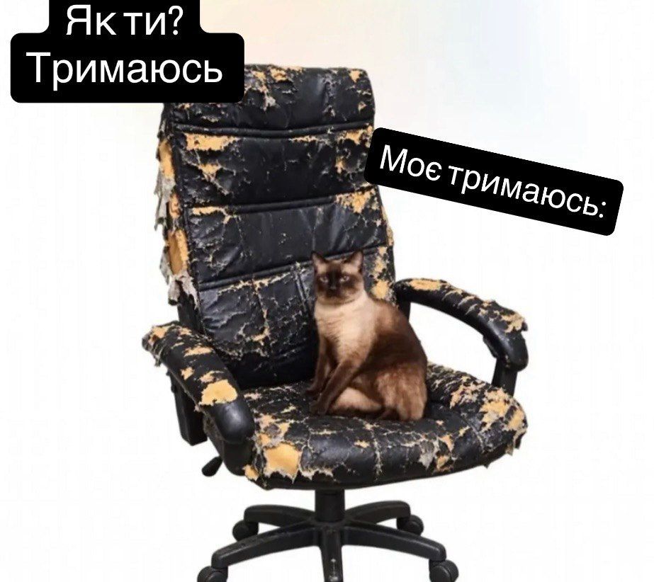 Всесвітній день психічного здоров'я та жарти - фото 920311