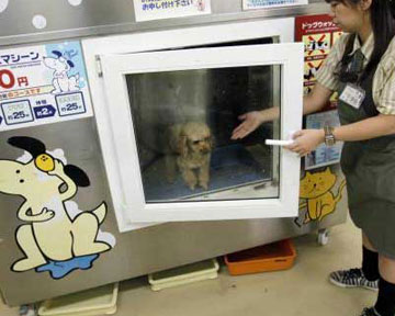Японцы изобрели стиральную машину для домашних животных