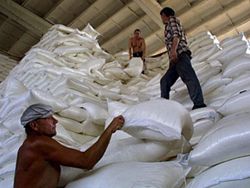 Россия закупит сахар за океаном, а не в соседней Украине