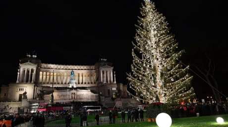 Римскую «лысую» елку могут сделать музейным экспонатом