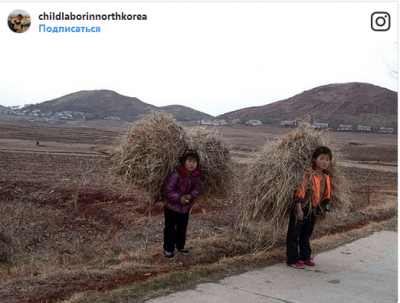Как живется детям в Северной Корее. Фото