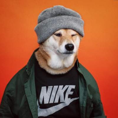 Собака, обожающая человеческую одежду, покорила Instagram