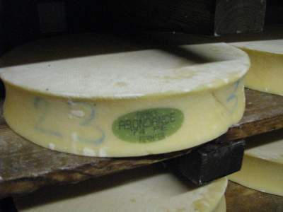 Как устроены сырные фермы в Альпах. Фото