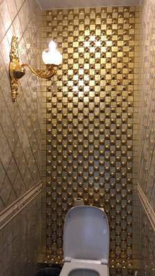 В Сети посмеялись над «золотым» туалетом в российском вузе