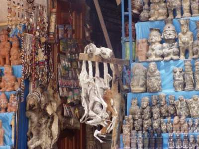 Как в Боливии устроен «рынок ведьм». Фото
