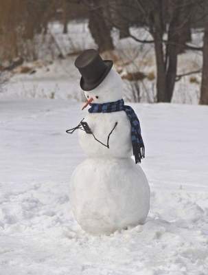 Забавные снеговики, созданные людьми с богатой фантазией