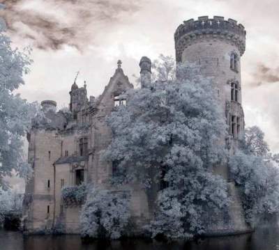 В этот замок не заходили почти сто лет. Фото