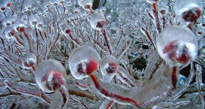 Волшебство льда в захватывающих снимках. Фото