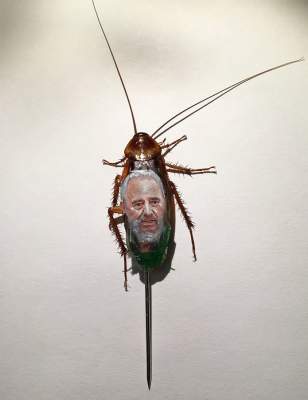 Сеть насмешили портреты политиков, нарисованные на тараканах