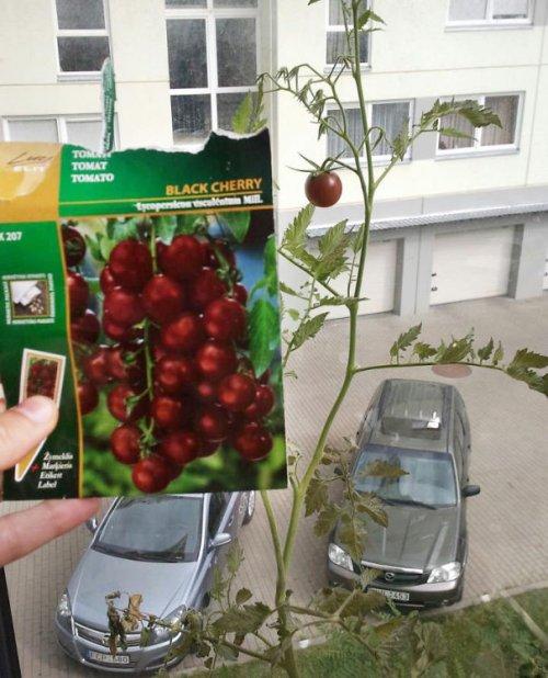 Как выглядит невезение (ФОТО) Как выглядит невезение (ФОТО)