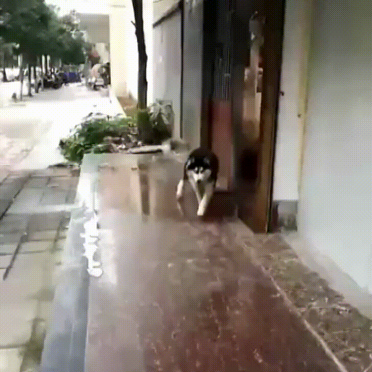 18 настоящих королей провала, которые знают о неудачах все. ФОТО 18 настоящих королей провала, которые знают о неудачах все. ФОТО