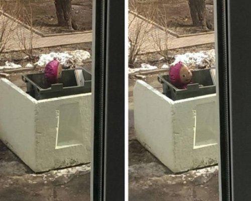 Неудачный день в одной картинке (ФОТО) Неудачный день в одной картинке (ФОТО)