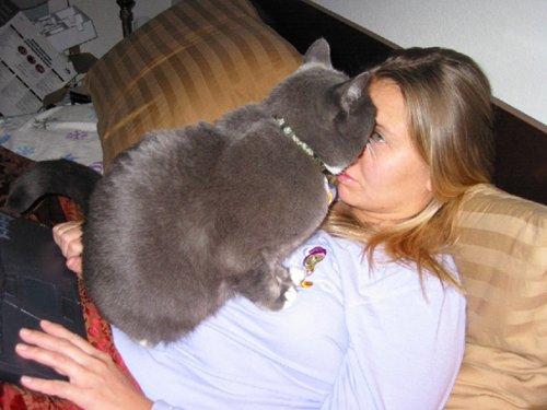 Курьезные снимки животных, которые решительно идут против системы (ФОТО) Курьезные снимки животных, которые решительно идут против системы (ФОТО)