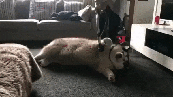 20 фото, после которых захочется с головой уйти в уборку. ФОТО 20 фото, после которых захочется с головой уйти в уборку. ФОТО