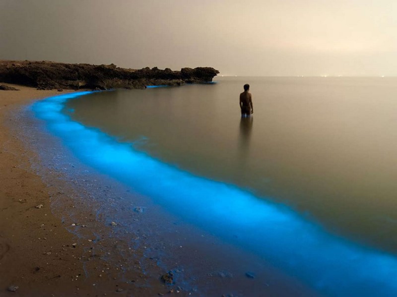 Лучшие снимки из когда-либо сделанных для National Geographic. ФОТО Лучшие снимки из когда-либо сделанных для National Geographic. ФОТО