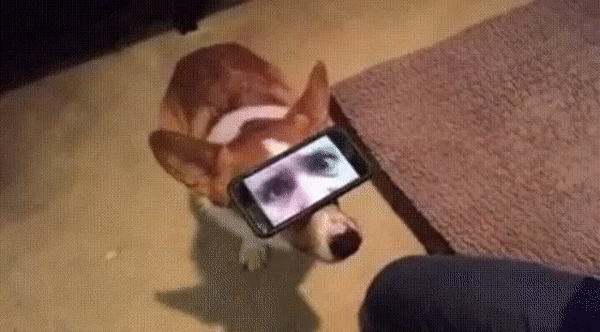 30 доказательств того, что все семьи в мире одинаково сумасшедшие. ФОТО 30 доказательств того, что все семьи в мире одинаково сумасшедшие. ФОТО