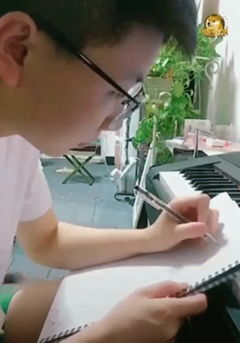 Собаки и кошки, повышающие уровень гормона радости в организме. ФОТО Собаки и кошки, повышающие уровень гормона радости в организме. ФОТО