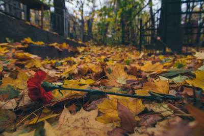 Мистический Киев: Байковое кладбище на рассвете. Фото